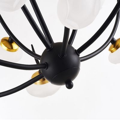 6 Kepala Besi Akrilik Modern Pendant Light Dekorasi Dalam Ruangan